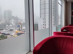 -南美元生态大酒店(海珠店)