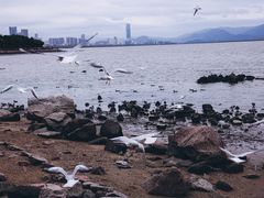 -深圳湾公园(南山区)