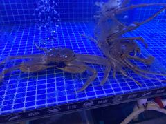 -九鲜坊烧烤城