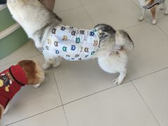 -怪兽屋·羊驼·猫咖·狗咖(俊华广场店)