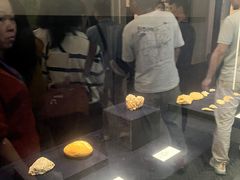 -广东省方志馆