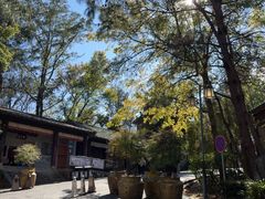 -天龙八部武侠城