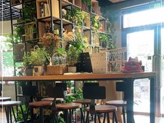 -ZING COFFEE 镜咖啡