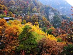 -少华山国家森林公园