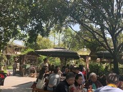 -青城甲(青城山店)