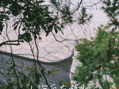 -惠山国家森林公园