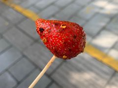 -雪儿钱局泡菜