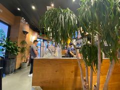 -茶颜悦色(环球奥特莱斯店)