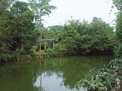 -广西壮族自治区药用植物园