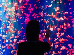 -成都浩海立方海洋公园