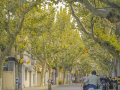 -溧阳路经典老洋房