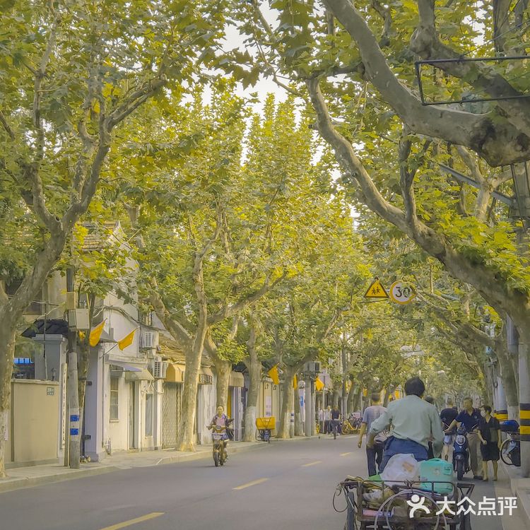 你为什么喜欢上海