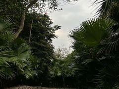-深圳湾公园(南山区)