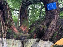 -桂林独秀峰王城景区