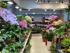 -双季花艺园艺市场(浦东店)