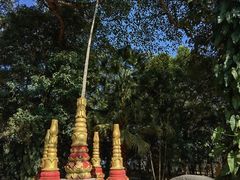 -瑞丽独树成林风景区