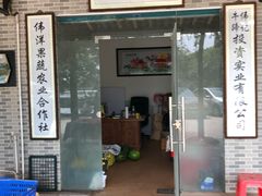 门面-伟记牛蹄(道滘店)