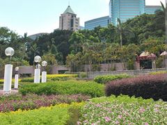 -九龙公园