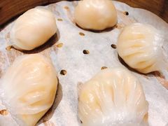 -皇朝会.经典传统粤菜(外滩店)