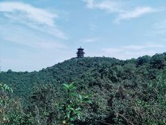 -杭州半山国家森林公园