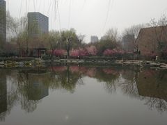 -木塔寺遗址生态公园