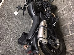 -白家寨子·山野白族菜(古城总店)