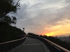 -金鸡山公园