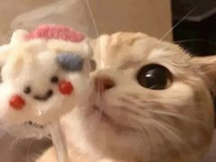 -粒上皇(湛江万达店)