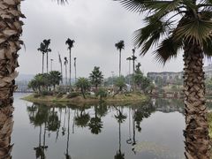 -枫香湖儿童公园