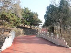-云岗森林公园