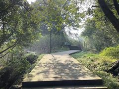 -艾坪山公园
