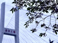 -南浦大桥长途旅游客运站