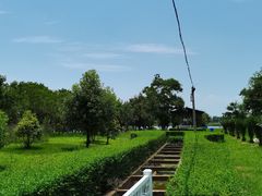 -呈贡滇池生态湿地公园