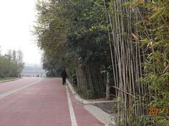 -淇河国家湿地公园