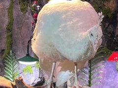 -正佳雨林生态植物园