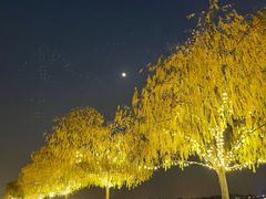 -迪士尼小镇
