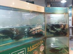 -老傅家湘潭水煮活鱼店(众一国际店)