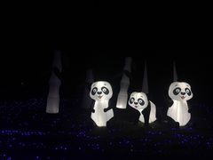 -亚龙湾国际玫瑰谷