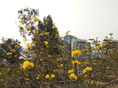 -狐尾山公园