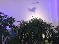 -UCCA Kids 儿童美育