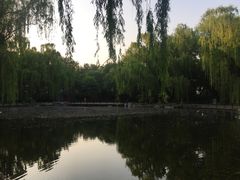 -玲珑塔公园