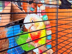 -全汁全味驴庄(凤岗店)