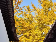 -西园戒幢律寺