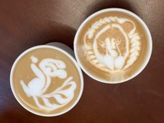 -SAFARI COFFEE