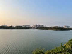 -立新湖公园