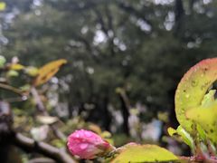 -汉中路(地铁站)