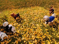 -漕河泾街道图书馆(漕河泾社区文化活动中心店)