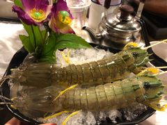 -鲜入围煮花胶鸡海鲜火锅