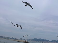 -刘公岛景区