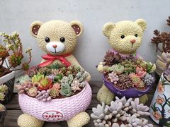 -金陵花卉交易市场